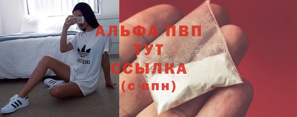 винт Алзамай