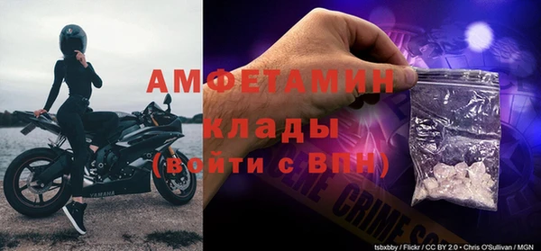 винт Алзамай