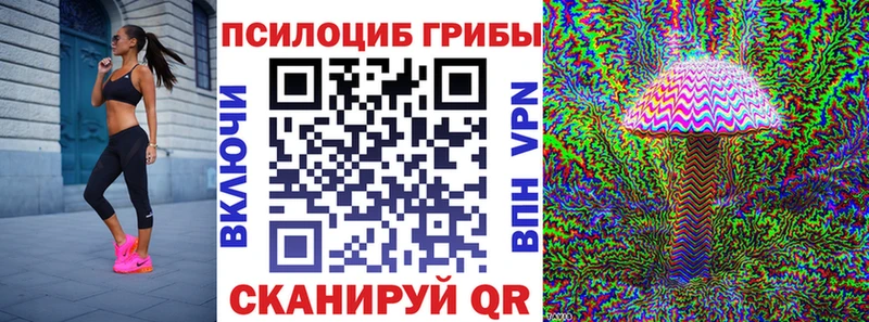 mega маркетплейс  Буй  Галлюциногенные грибы мицелий 